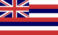 Bild der Flagge "USA - Bundesstaat Hawaii (150 x 90 cm)"