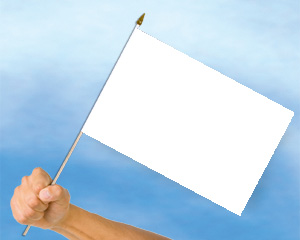 Bild von Stockflaggen Blanko / Weiß  (45 x 30 cm)-Fahne Stockflaggen Blanko / Weiß  (45 x 30 cm)-Flagge im Fahnenshop bestellen