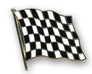 Bild von Flaggen-Pin Zielflagge-Fahne Flaggen-Pin Zielflagge-Flagge im Fahnenshop bestellen