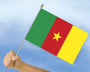 Bild von Stockflaggen Kamerun  (45 x 30 cm)-Fahne Stockflaggen Kamerun  (45 x 30 cm)-Flagge im Fahnenshop bestellen