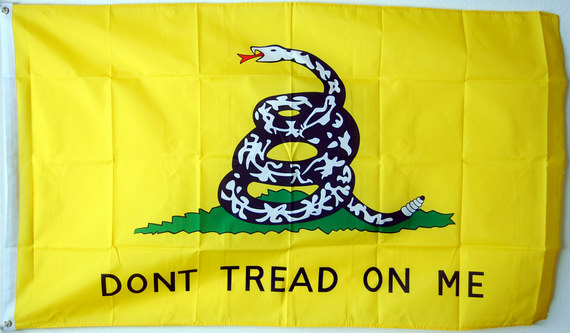 Bild von Flagge USA Tea Party-Fahne Flagge USA Tea Party-Flagge im Fahnenshop bestellen