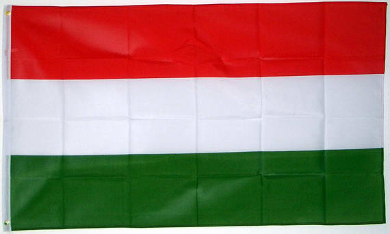 Miniflag Ungarn mit Wappen 10 x 15 cm Fahne Flagge Miniflagge 