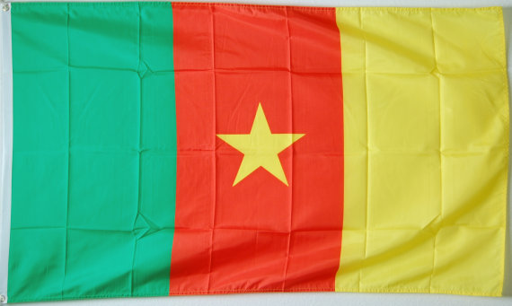 Bild von Flagge Kamerun Basic-Qualität-Fahne Kamerun Basic-Qualität-Flagge im Fahnenshop bestellen