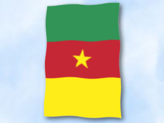 Bild von Flagge Kamerun  im Hochformat (Glanzpolyester)-Fahne Flagge Kamerun  im Hochformat (Glanzpolyester)-Flagge im Fahnenshop bestellen
