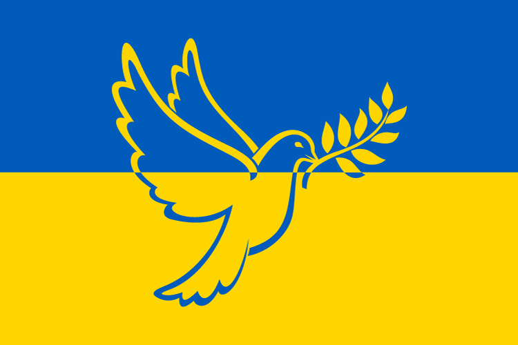 Bild von Flagge Ukraine mit Friedenstaube  (Schwenkfahne 120 x 80 cm) in der Qualität Sturmflagge-Fahne Ukraine mit Friedenstaube  (Schwenkfahne 120 x 80 cm) in der Qualität Sturmflagge-Flagge im Fahnenshop bestellen