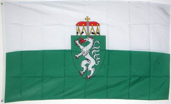 Bild von Flagge der Steiermark-Fahne Flagge der Steiermark-Flagge im Fahnenshop bestellen