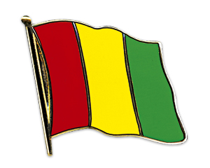 Bild von Flaggen-Pin Guinea-Fahne Flaggen-Pin Guinea-Flagge im Fahnenshop bestellen