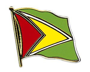 Bild von Flaggen-Pin Guyana-Fahne Flaggen-Pin Guyana-Flagge im Fahnenshop bestellen