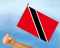 Stockflaggen Trinidad und Tobago
 (45 x 30 cm) Flagge Flaggen Fahne Fahnen kaufen bestellen Shop
