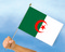 Stockflaggen Algerien
 (45 x 30 cm) Flagge Flaggen Fahne Fahnen kaufen bestellen Shop