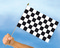 Stockflaggen Zielflagge
 (45 x 30 cm) kaufen