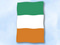 Flagge Irland
 im Hochformat (Glanzpolyester) Flagge Flaggen Fahne Fahnen kaufen bestellen Shop