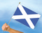 Stockflaggen Schottland
 (45 x 30 cm) Flagge Flaggen Fahne Fahnen kaufen bestellen Shop
