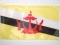 Tisch-Flagge Brunei Flagge Flaggen Fahne Fahnen kaufen bestellen Shop