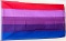 Flagge Transgender (LGBTQ Pride)
 (150 x 90 cm) Flagge Flaggen Fahne Fahnen kaufen bestellen Shop