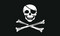 Totenkopf-Flagge 1
 (90 x 60 cm) Flagge Flaggen Fahne Fahnen kaufen bestellen Shop