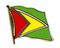 Flaggen-Pin Guyana Flagge Flaggen Fahne Fahnen kaufen bestellen Shop